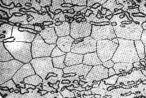 5B.jpg