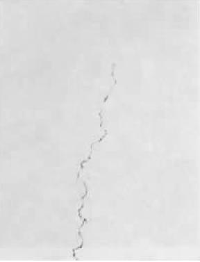 ͼ1(80×).jpg